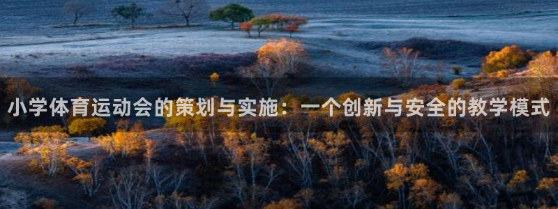 意昂3体育平台注册：小学体育运动会的策划与实施：一个创新与安全的教学模式