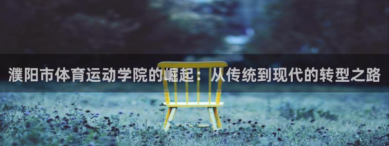 意昂3体育f开号：濮阳市体育运动学院的崛起：从传统到现代的转型之路