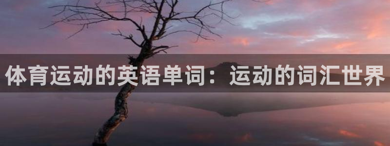意昂3体育平台总代理：体育运动的英语单词：运动的词汇世界