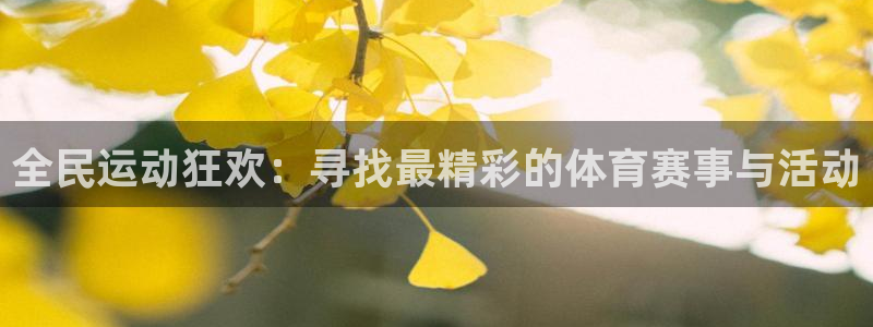 意昂3平台：全民运动狂欢：寻找最精彩的体育赛事与活动