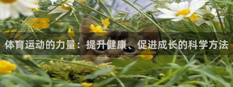 意昂3体育注册平台：体育运动的力量：提升健康、促进成长的科学方法
