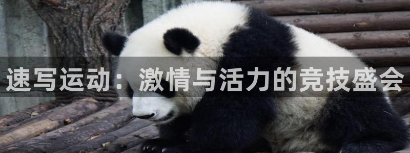 意昂3体育凯捷平台招商：速写运动：激情与活力的竞技盛会