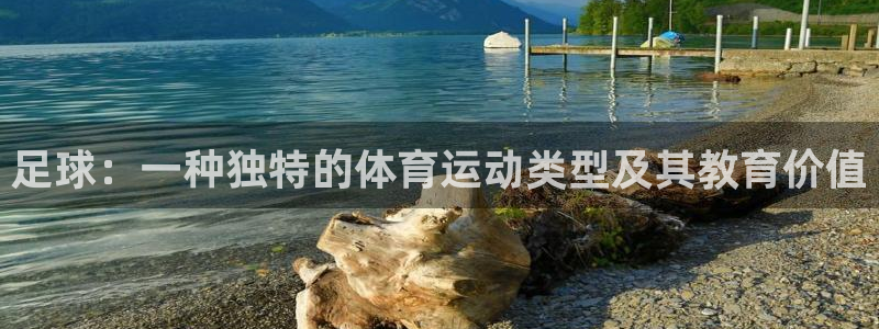 东莞市意昂3电子科技有限公司：足球：一种独特的体育运动类型及其教育价值