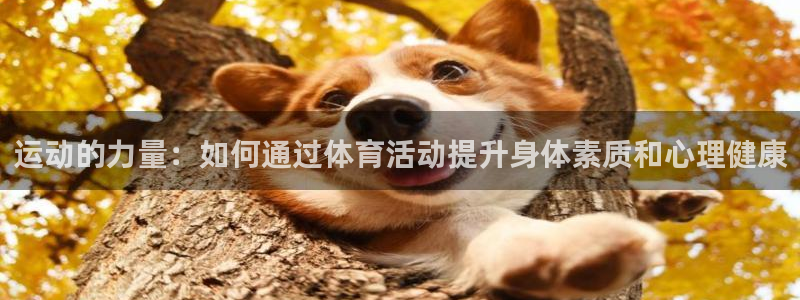 意昂3体育代理：运动的力量：如何通过体育活动提升身体素质和心理健康