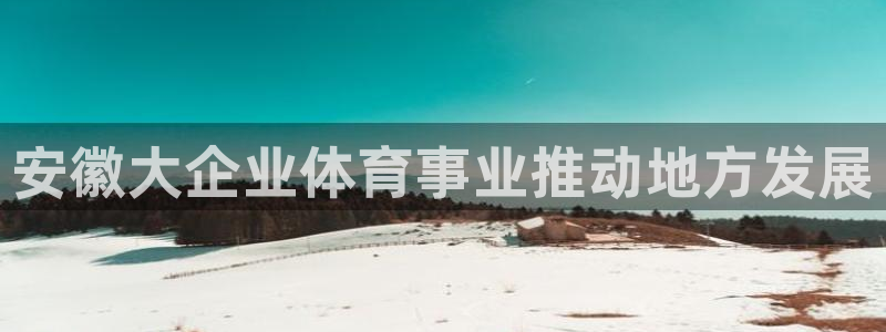意昂3招商：安徽大企业体育事业推动地方发展