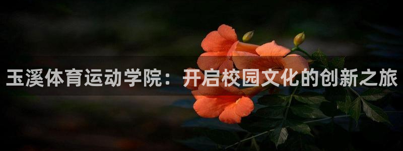 意昂34平台：玉溪体育运动学院：开启校园文化的创新之旅