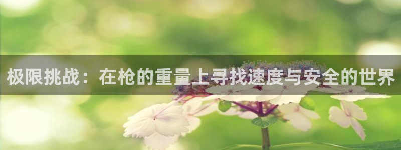 意昂33：极限挑战：在枪的重量上寻找速度与安全的世界