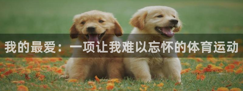 意昂3体育注册平台：我的最爱：一项让我难以忘怀的体育运动