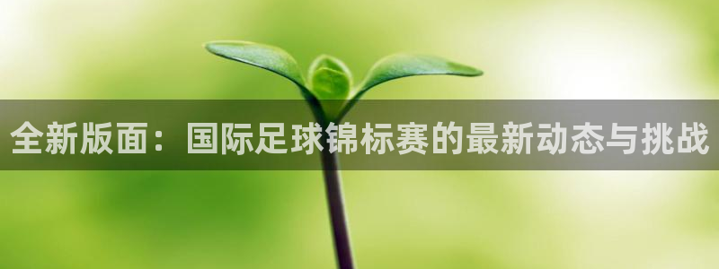 意昂3电子有限公司：全新版面：国际足球锦标赛的最新动态与挑战