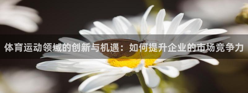 意昂3平台注册入口：体育运动领域的创新与机遇：如何提升企业的市场竞争力