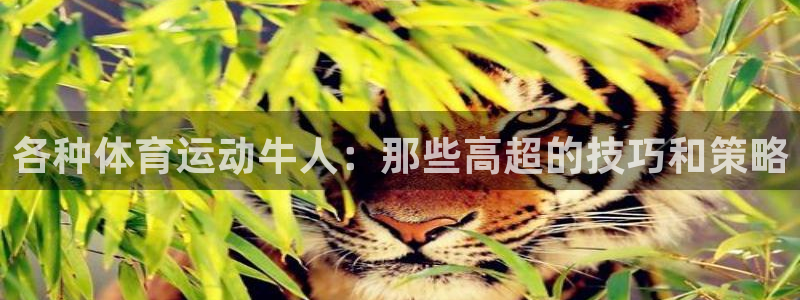 意昂33登陆：各种体育运动牛人：那些高超的技巧和策略