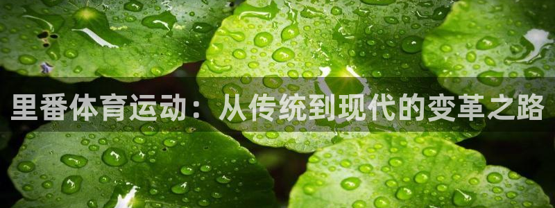 意昂3f平台注册：里番体育运动：从传统到现代的变革之路
