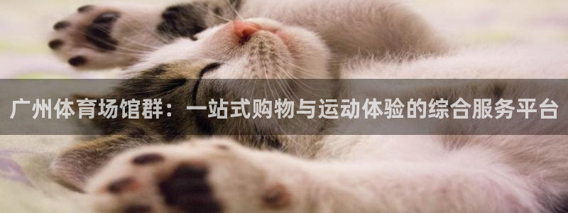 意昂3集团股票：广州体育场馆群：一站式购物与运动体验的综合服务平台