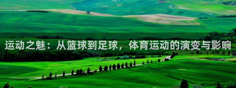 佛山市南海意昂3机电仪器有限公司：运动之魅：从篮球到足球，体育运动的演变与影响