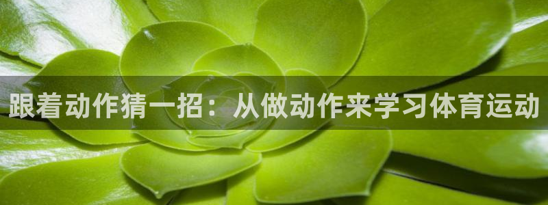 www.意昂3体育.com
