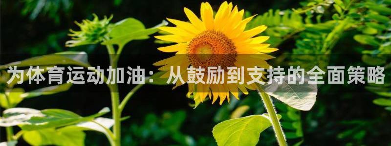 意昂3体育热门赛事有哪些：为体育运动加油：从鼓励到支持的全面策略